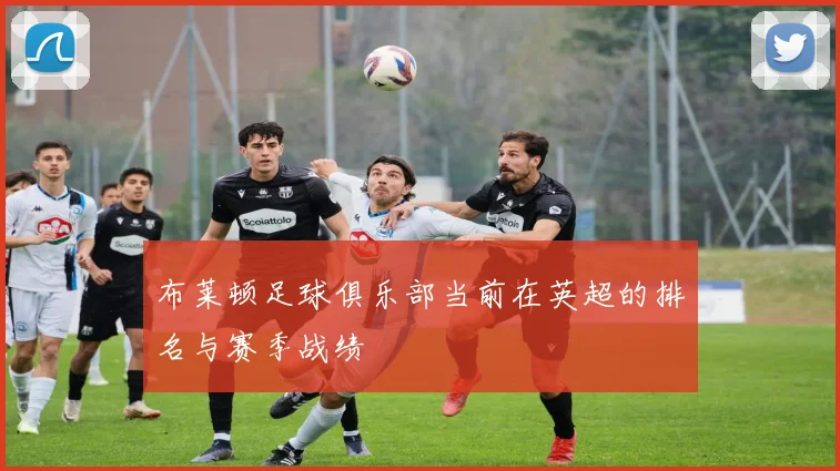 布莱顿足球俱乐部当前在英超的排名与赛季战绩