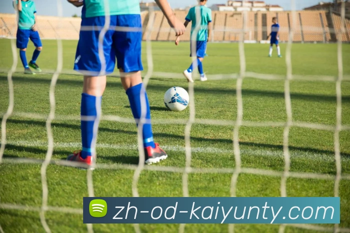 ky开云平台生态图