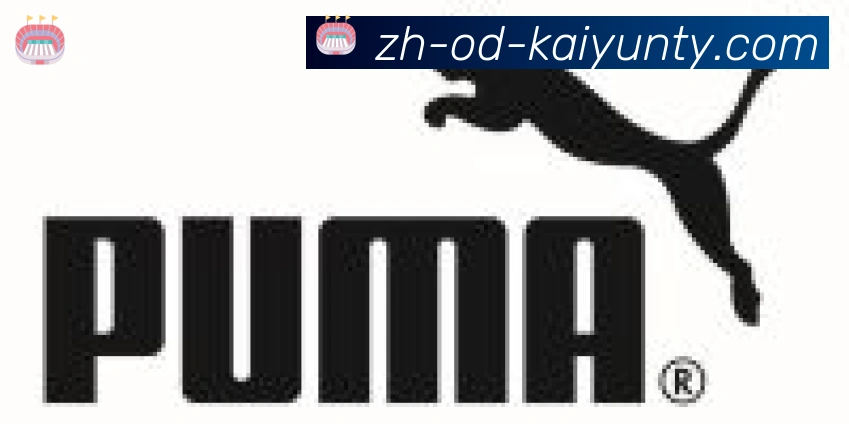 KY开云体育合作伙伴